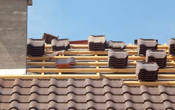 Dyan clay roofing costs