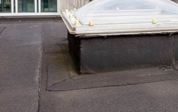 disadvantages of Dyan flat roofs