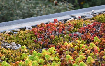 the cost of Dyan green roof installation