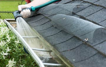 Dyan gutter cleaning costs
