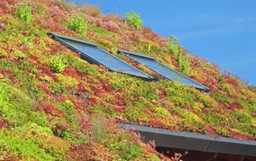 Dyan living roof systems