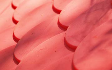 Dyan plastic roof costs