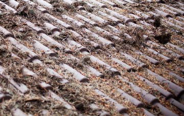 Dyan roof cleaning companies