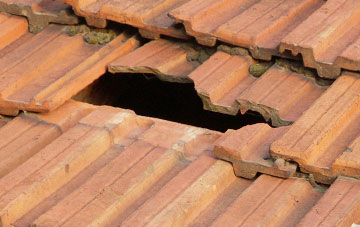 roof repair Dyan, Dungannon