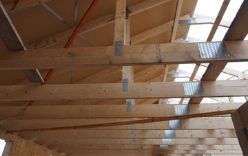 Dyan roof truss costs
