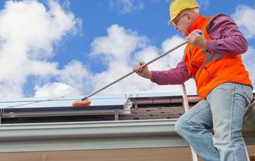 Dyan soft wash roof cleaning