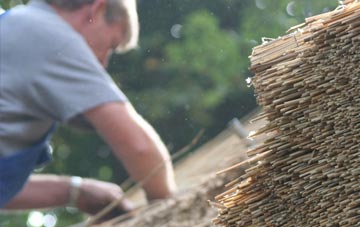 professional Dyan thatchers