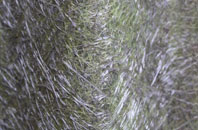 Dyan fibreglass roof work