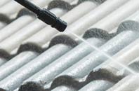 rated Dyan roof cleaning companies